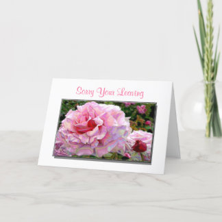 Desculpem-Me Por Deixar Cartões De Saudação E Boa