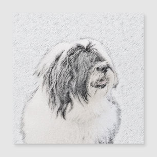 Desenho Collie Com Carapaça - Arte Cachorra Origi