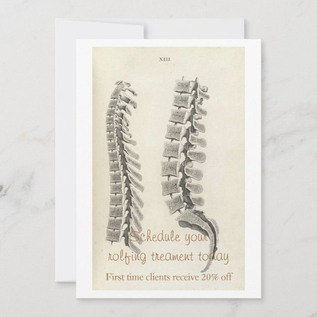 Desenho das vértebras (Frente)