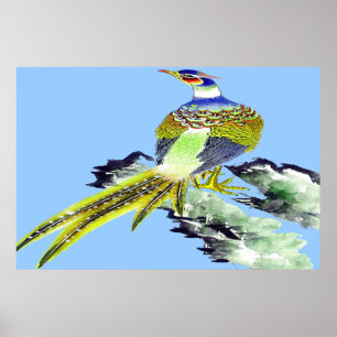 Desenho de poster de Pheasant Permanente 5