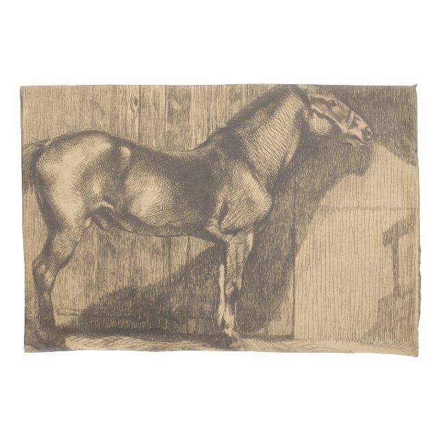 Desenho de um Pony (por Paul-Albert Besnard) (Frente-Esquerda)