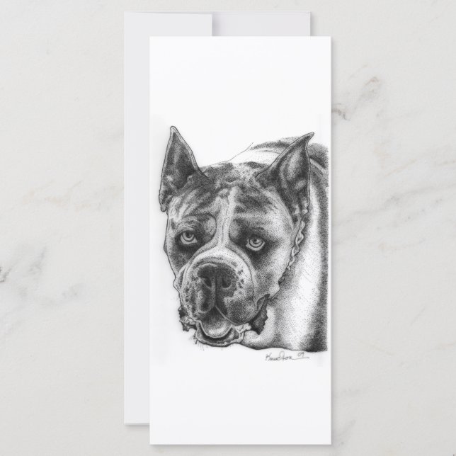 Desenho do Boxer (Frente)