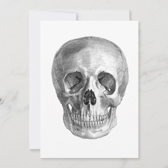 Desenho do esboço da anatomia do crânio humano (Frente)