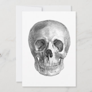 Desenho do esboço da anatomia do crânio humano