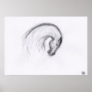 Desenho Original 2 Ano Horso Poster