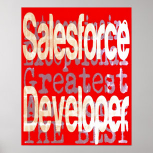 Desenvolvedor do Salesforce Extraordinaire Poster