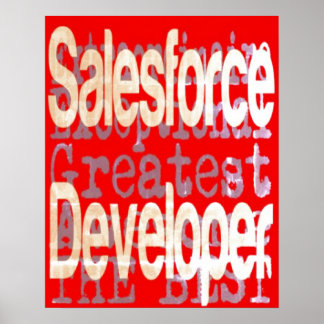 Desenvolvedor do Salesforce Extraordinaire Poster