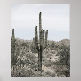 Desert Cactus 16x20, Impressão de Muro