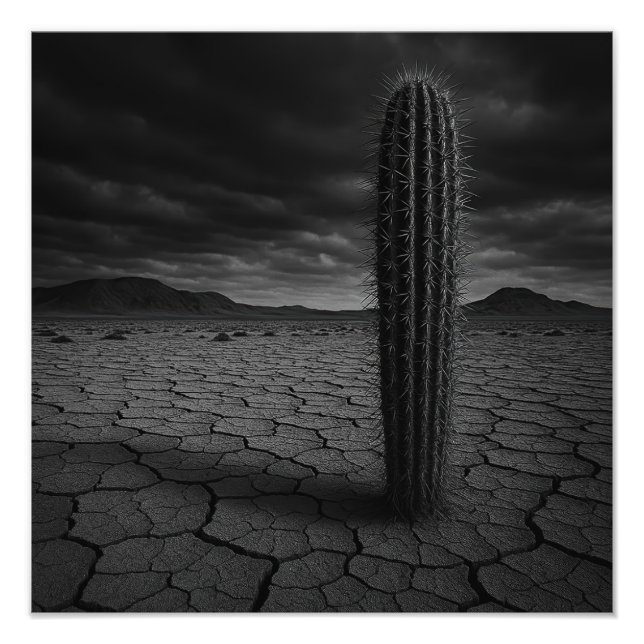 Deserto - Impressão Fotográfica (Frente)