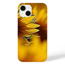 Desertos em Flor