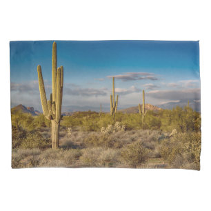 Desertos Superstições, Arizona