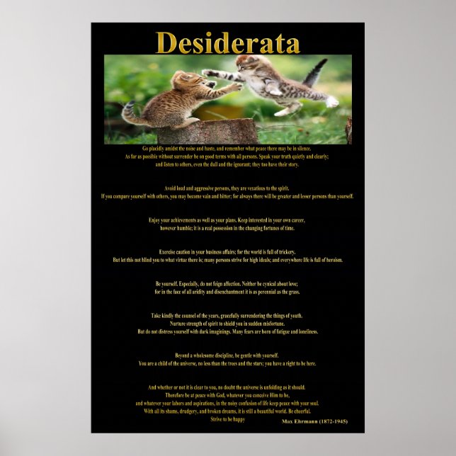 Desiderata Cat Fight Posters 1a (Frente)