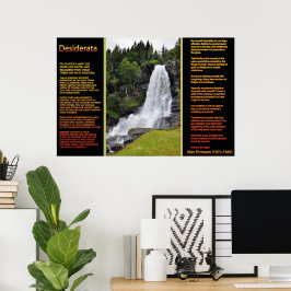 DESIDERATA Laranja Posters 13