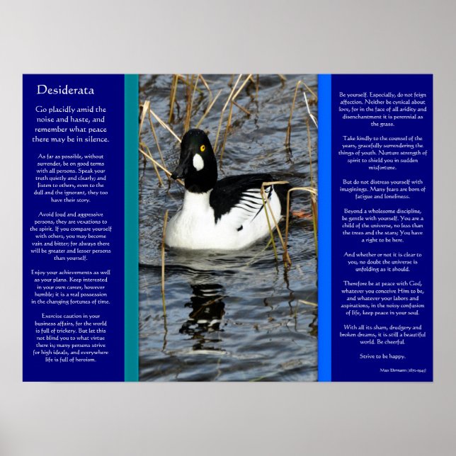 DESIDERATA Lookking Duck Posters 2 (Frente)
