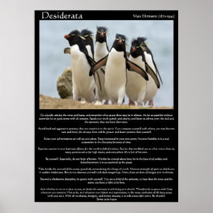 Desiderata Penguins Posters Andando