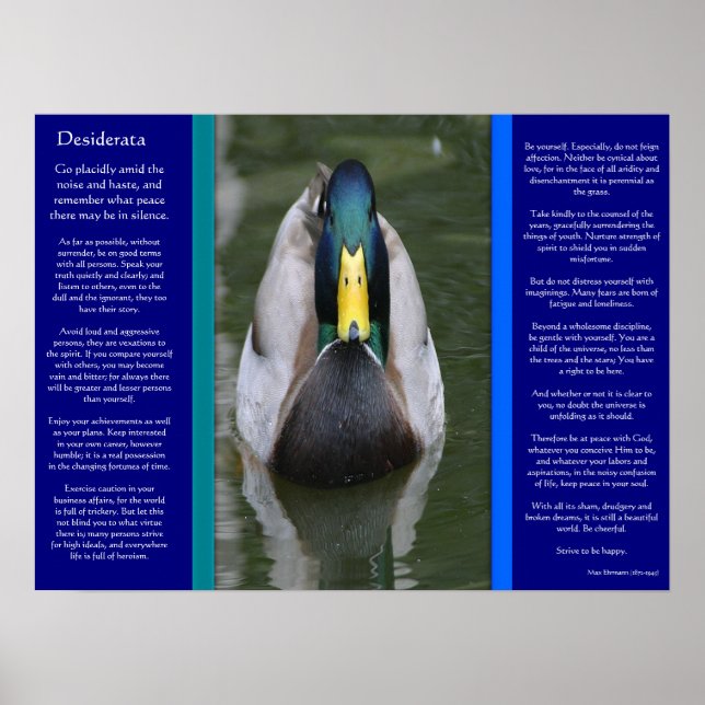 DESIDERATA Posters de Pato (Frente)