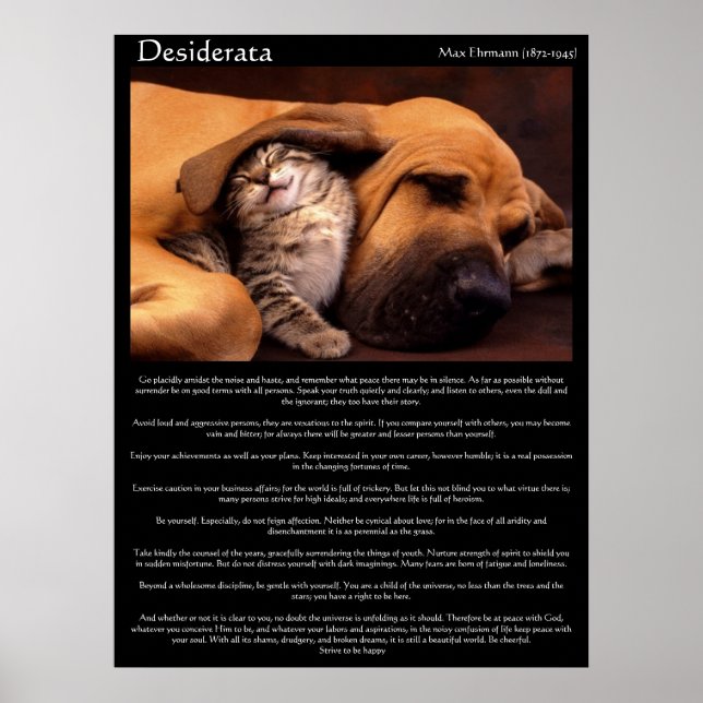 Desiderata Young Love Posters 2 (Frente)