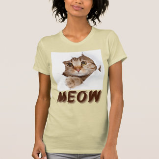 Design de Camisa de Gato Bela