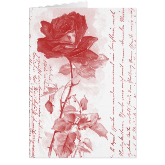 Design de Cartão Postal rosa vermelha (Frente)