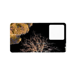 Design de estilo de etiqueta de endereço