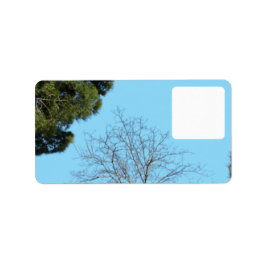 Design de estilo de etiqueta de endereço