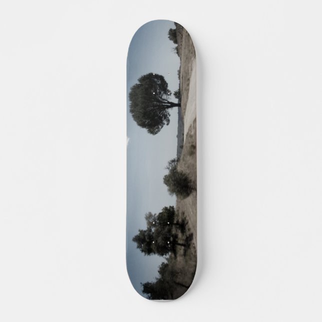 DESIGN DE ESTILO DE SKATEBOARD (Frente)