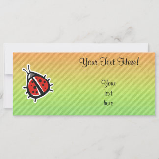 Design de Ladybug