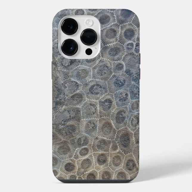 Design de Michigan Petoskey Stone  (Verso)