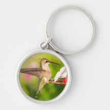 Design de pulseira de chaveiro de beija-flor #108A