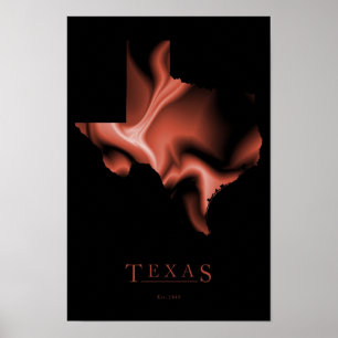 Design do Poster do Texas
