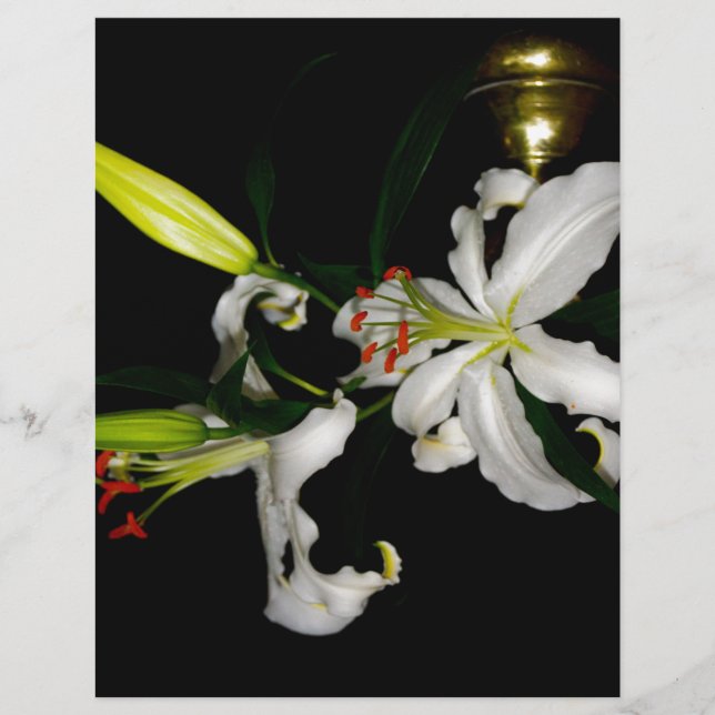 Design irlandês - Coleção de Flores (Frente)