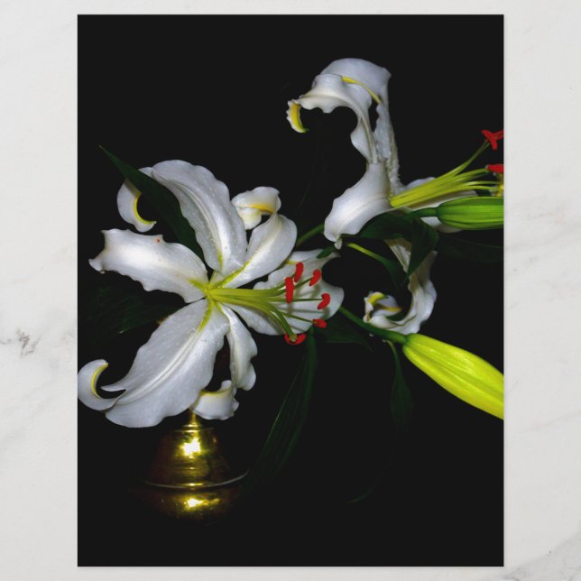 Design Irlandês - Design de Latão e Flor (Frente)