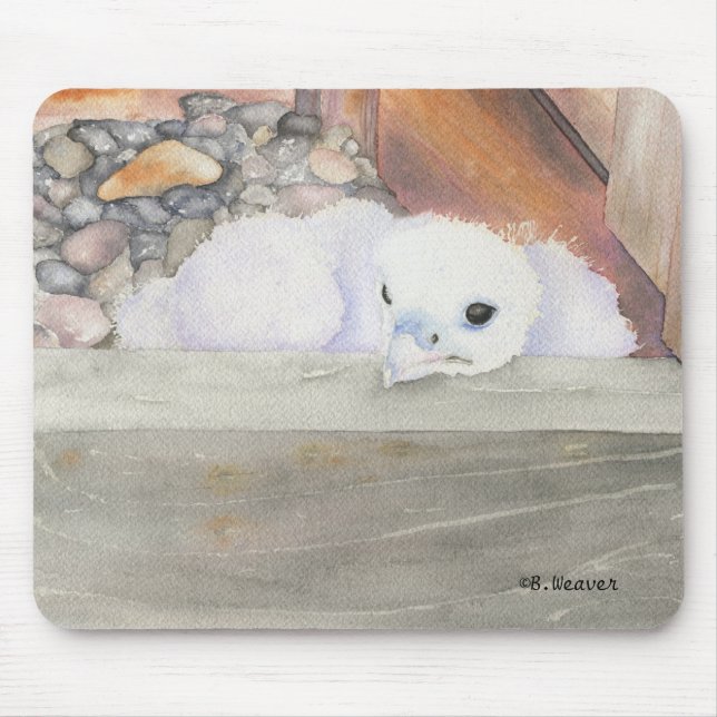 Design Mousepad de B.Weaver Orion (Frente)