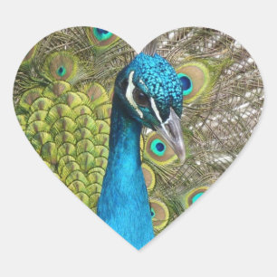 Design o seu próprio adesivo de fotos personalizad