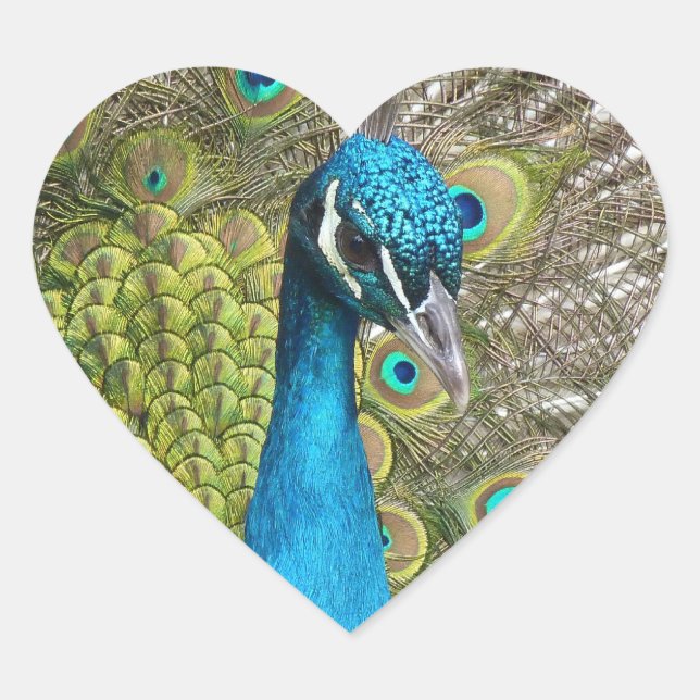 Design o seu próprio adesivo de fotos personalizad (Frente)