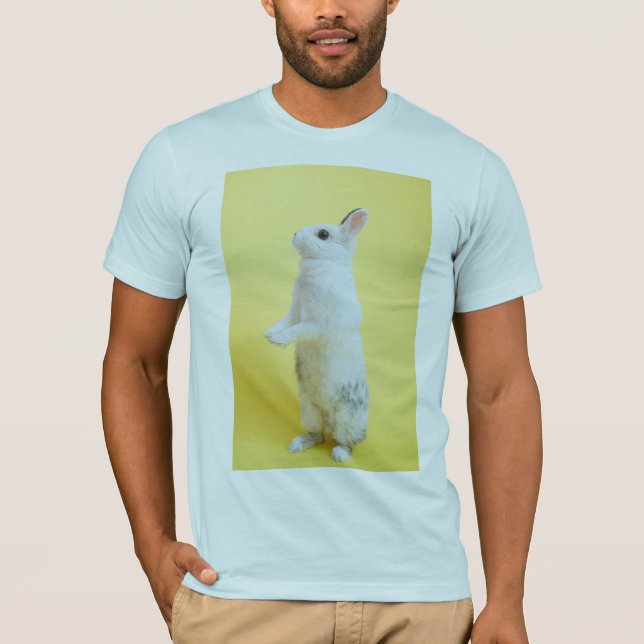 Design T-Shirt (Frente)