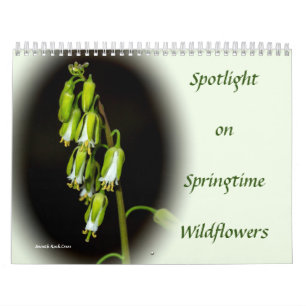Destaque no Calendário do Springtime Wildflower
