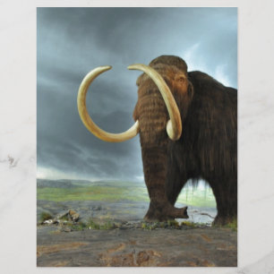Destino da modificação do Mammoth Woolly