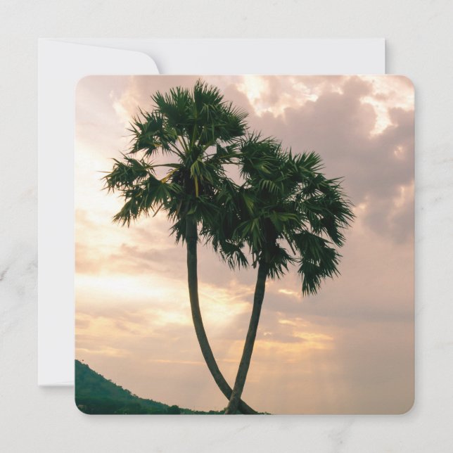 Destino Da Palma De Praia De Paraíso Tropical (Frente)