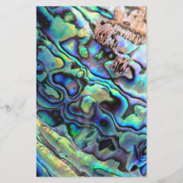 Detalhe da concha do haliote Paua