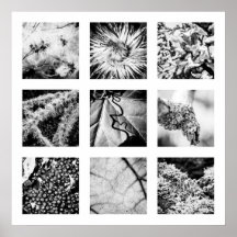 Detalhes da série Nature - Detalhes Poster