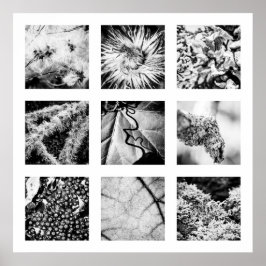 Detalhes da série Nature - Detalhes Poster