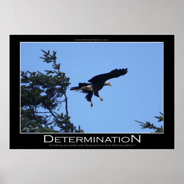 DETERMINAÇÃO ~ Poster motivacional (Frente)