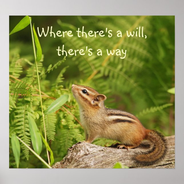 Determinado Poster de chipset para bebê (Frente)