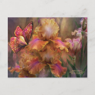 Deusa do cartão postal de arte do nascer do sol