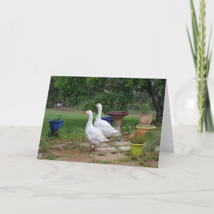 Devil Ducks - Vazio cartão de propósito.