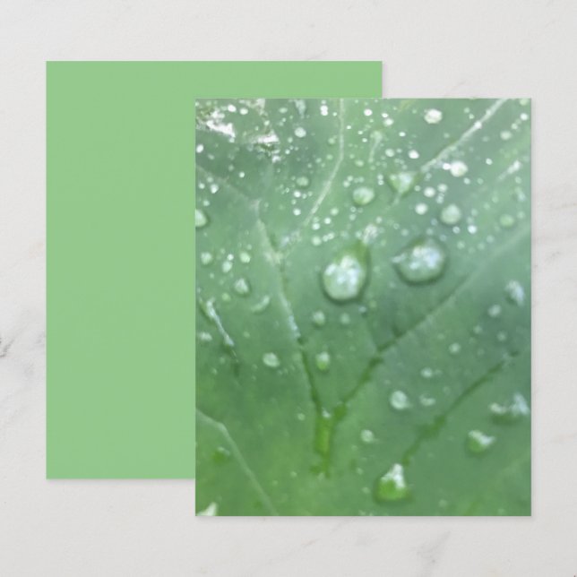 Dew Cai Livro Verde de Folha de Orelha de Elefante (Frente/Verso)