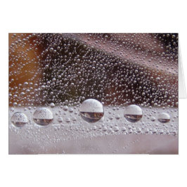 Dew Drop Yin Yang Cartão Natural Pacífico Com Poem