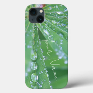 Dewdrop