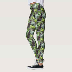 Dexter O Gato Negro Siamês, Leggings Damas